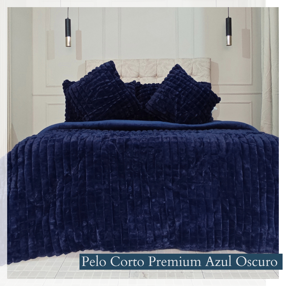 PELO CORTO CUADROS